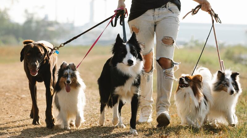 ingresos extra en verano