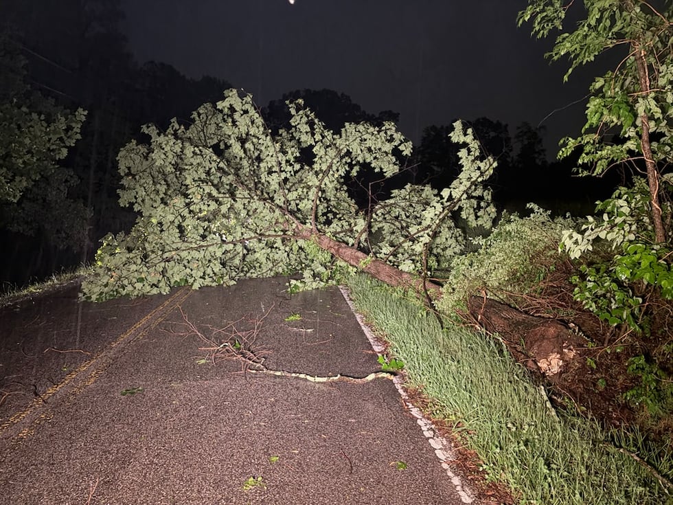 Severe weather took down multiple trees in the Ivey Point area of Goodlettsville, Tennessee.