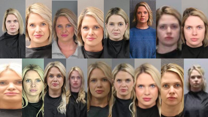 Pamela Brooke Schronce's 17 arrests