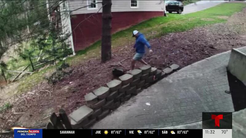 Mapache ataca a mascota en el patio de su casa