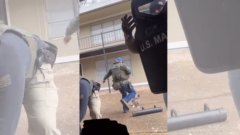 Memphis Safe Task Force officers actions draw backlash after dog injured during arrest