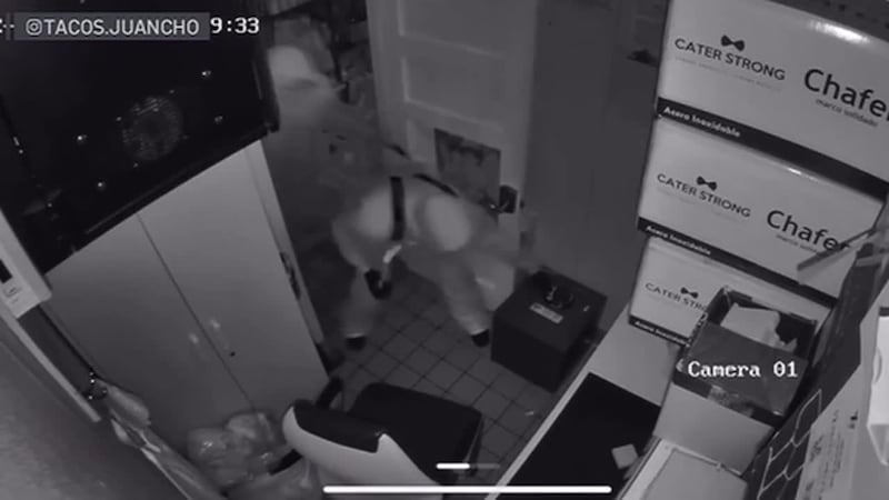 Taquería que abrió hace cinco meses ya ha sido objeto de robo dos veces. Cámaras muestran...