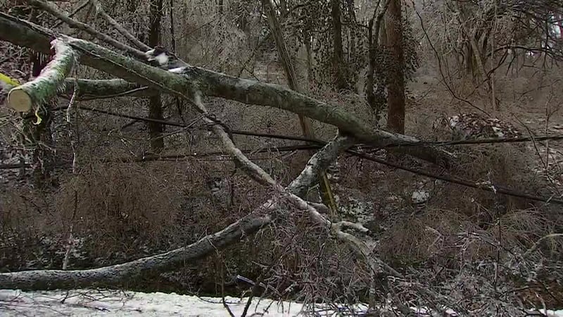 NES comienza una revisión sobre la respuesta a la tormenta de hielo tras 13 días de caos