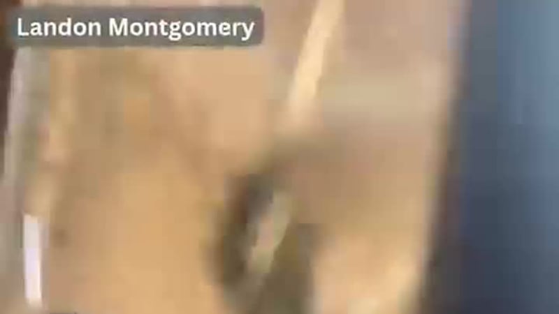 Visitantes al Zoológico de Memphis se llevan tremendo susto al ver un simio enojado