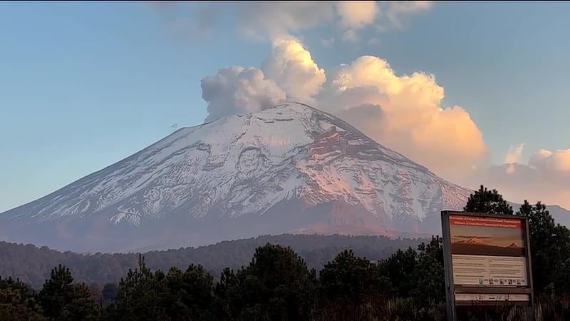 Top 5 con Vanessa Serna | 27 de marzo de 2026