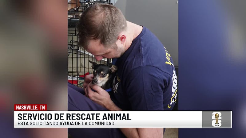 Servicio de rescate animal pide urgentemente ayuda de la comunidad
