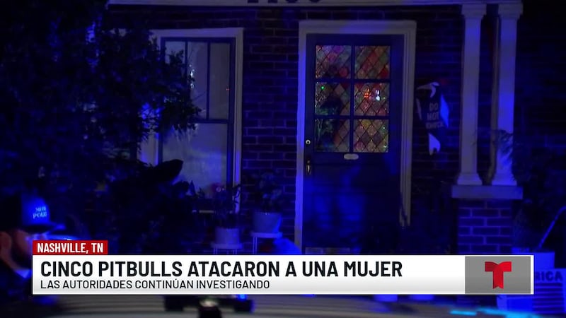 Mujer grave tras ser atacada por cinco perros en Nashville