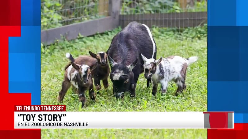 Toy Story llega al Zoológico de Nashville con sus nuevos integrantes