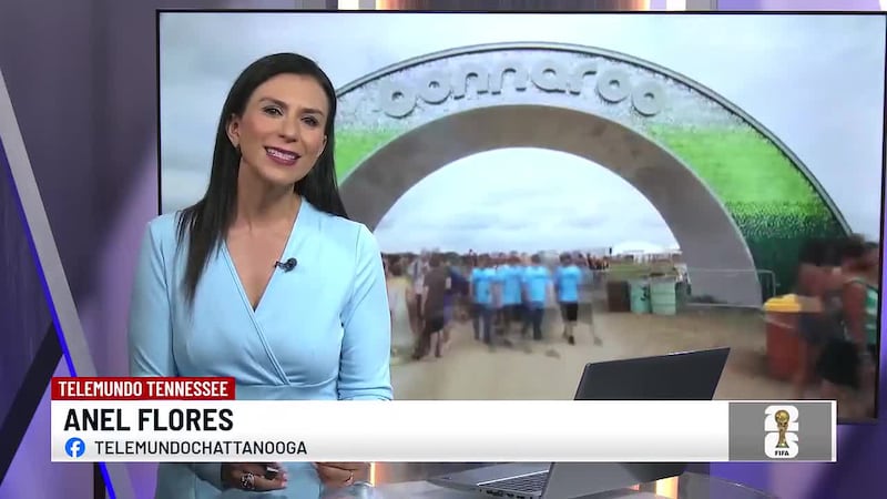 Aumento de seguridad por el evento musical Bonnaroo