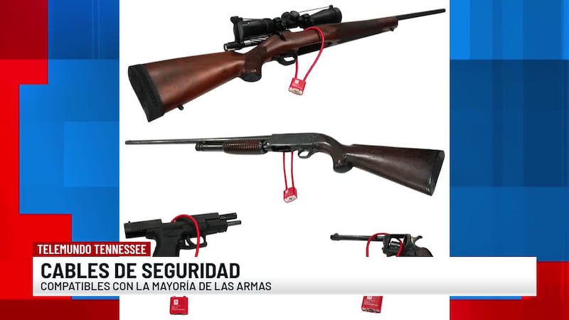 Autoridades urgen a la población a asegurar sus armas dentro de casa